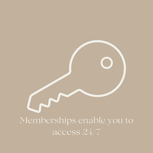 spray-tan-bronzed-member-24-7-access-bronzed-24-7-hobart